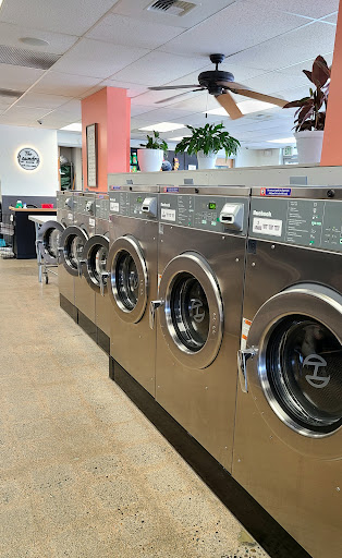 The Laundry Room - Ash
