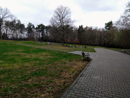 Waldfriedhof Umstadt - Thumbnail