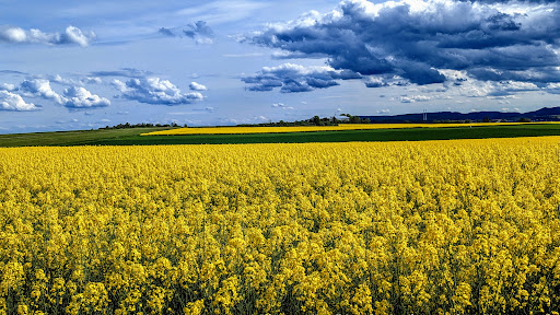 Grünstadt Airfield Gallery - Germany