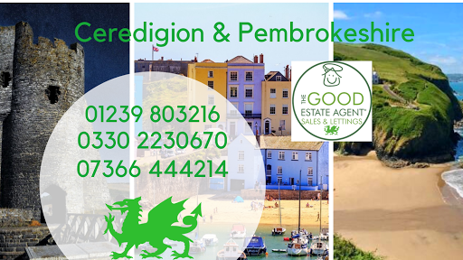 The Good Estate Agent West Wales - Thumbnail