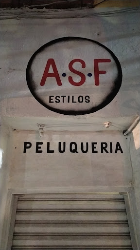 A.S.F ESTILOS Gallery - Mexico
