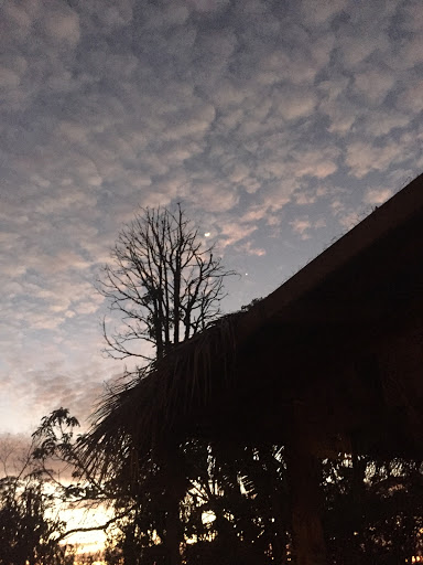 Finca Acantha - Santuario 'Agüita de Coco' - Thumbnail