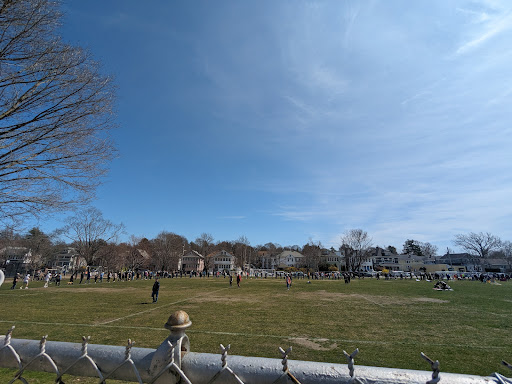Town Field - Visual