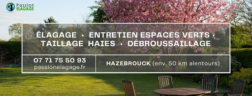 Photo de Sas Raphaël Prestation Jardin à Morbecque (59190)