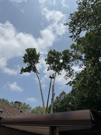 post-image-2