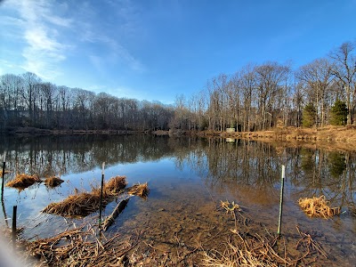 Royal Lake Park