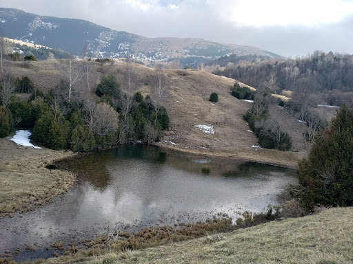 Estany d'en Roca - Thumbnail