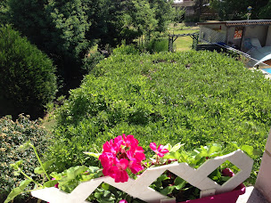 Photo n°11 de Le Chant des Tourterelles à Épargnes (Chambre d'hôtes)