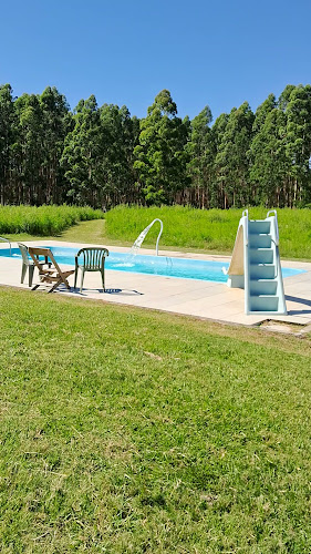 Opiniones de Campo Arte en Rivera - Hotel
