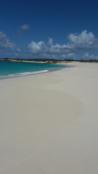 Photos of Dog Island