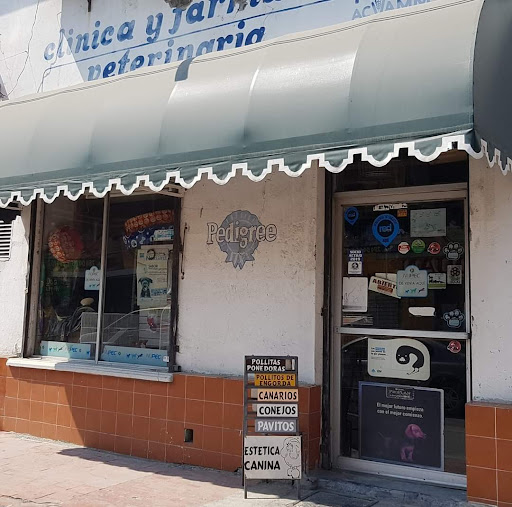 Veterinaria de la ciudad