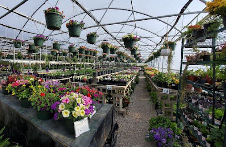 Redbud Farms & Nurseries 1291 240th St, Fort Scott, KS 66701