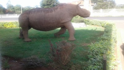 Photos of Kwetu Resort