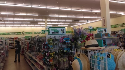 Dollar Tree