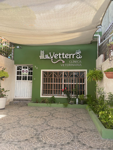 Vetterra Clinica Veterinaria