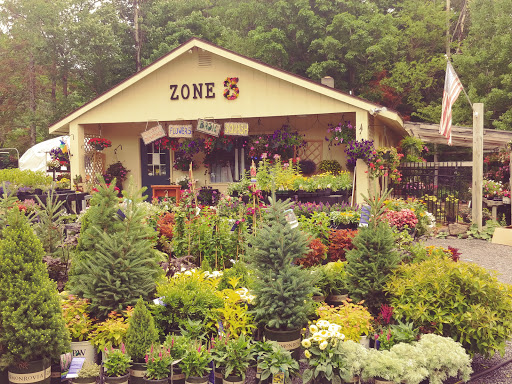 Zone 3 - Thumbnail