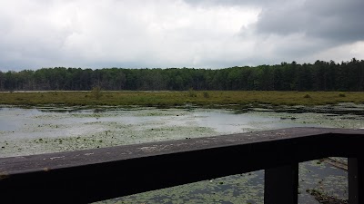 Photos of Hanging Bog Wildlife Management Area