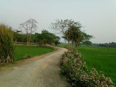 Photos of Jama Masjid belatali idagah