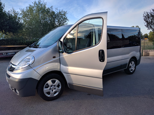 Auto Cesanense - Visual