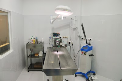 Photos of Estenova Cl&iacute;nica veterinaria