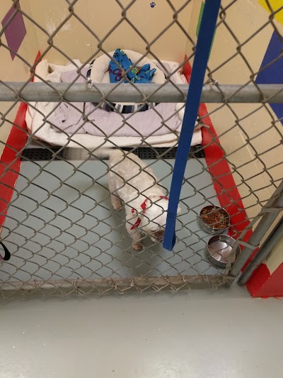 Photos of Menominee Animal Shelter