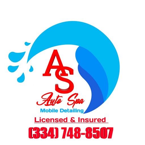 Auto Spa 334