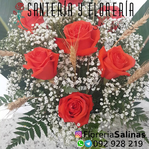 Opiniones de Santería y Florería Salinas en Canelones - Floristería