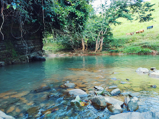 Loma de Cedro - Thumbnail