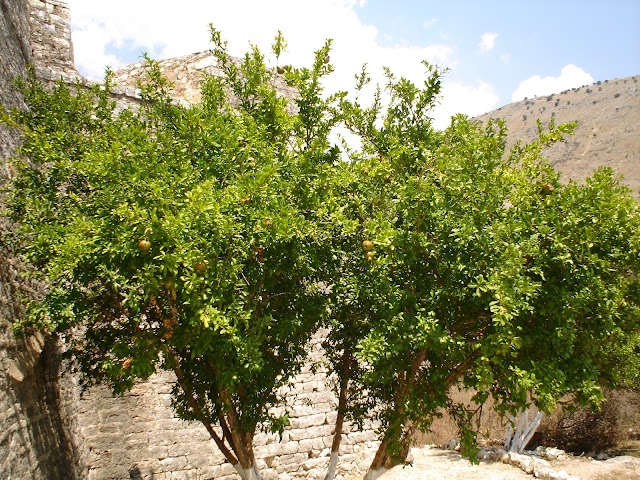 Porto Palermo Castle