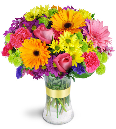 Border Blooms - Visual