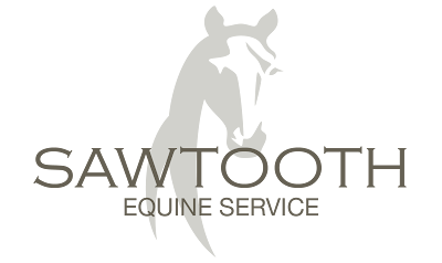 Sawtooth Equine Services