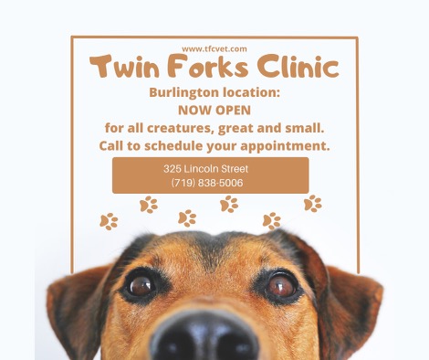 Twin Forks Clinic - Burlington