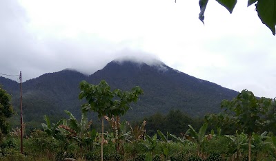 Photos of HarWita Viila