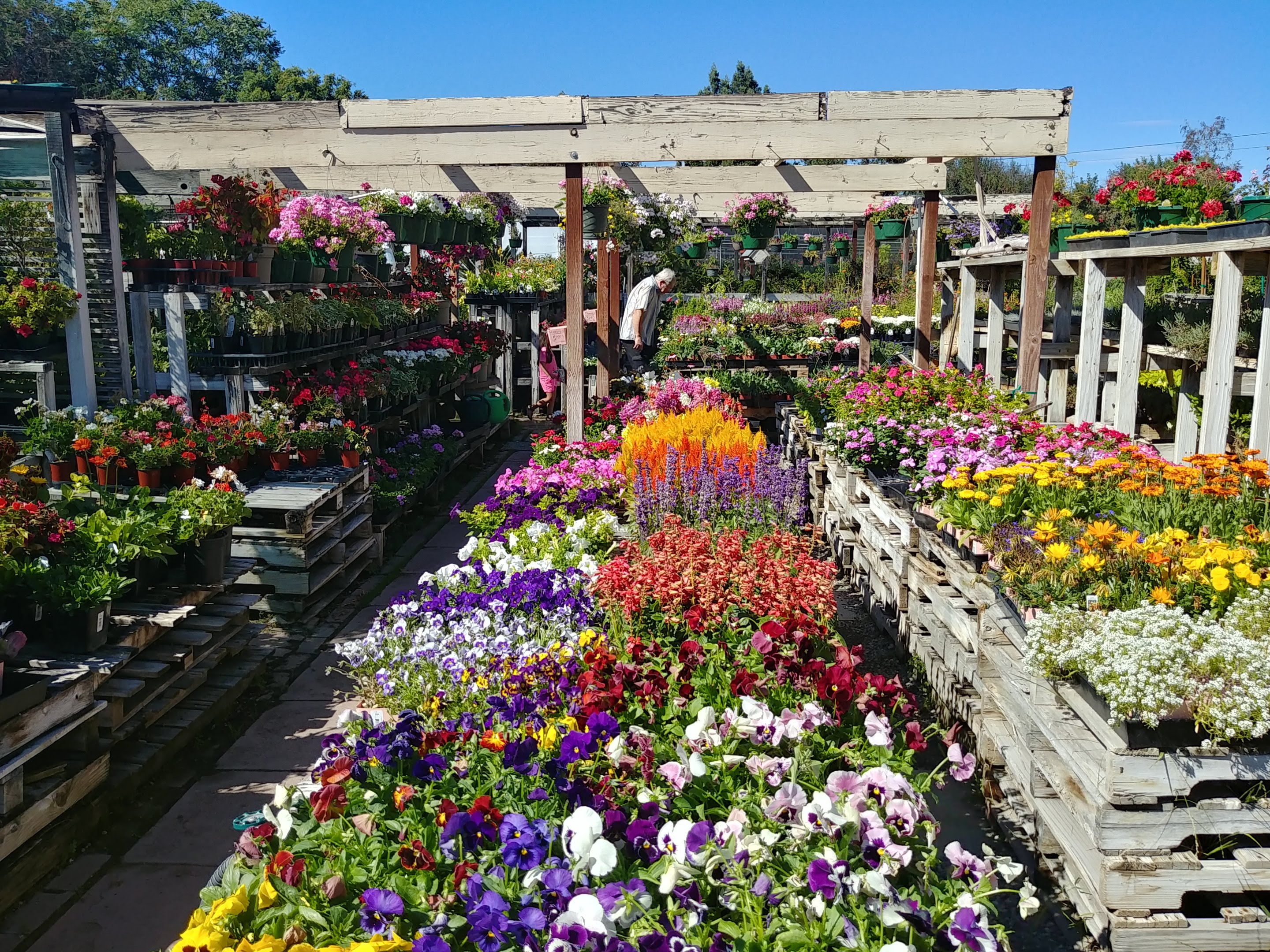 West Valley Nursery