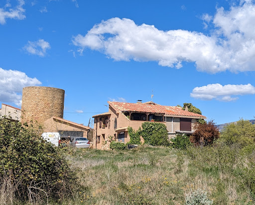 Rosa Dels Vents