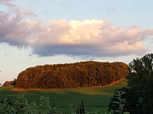 Käseschenke - Visual