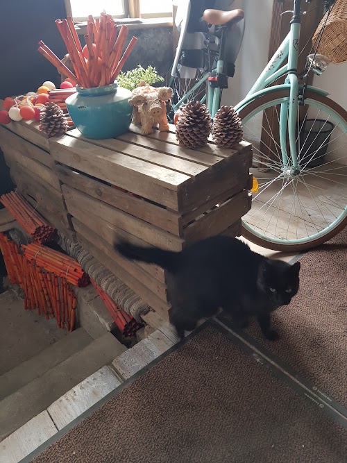 Salons-veikals "Mākslas Lāde"