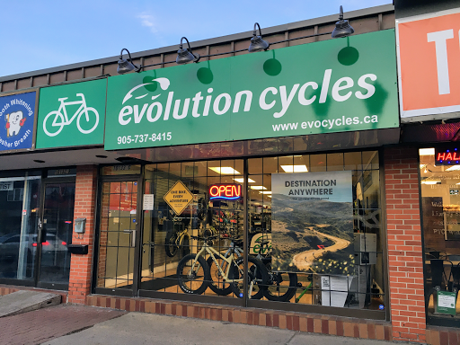 Evolution Cycles - Visual