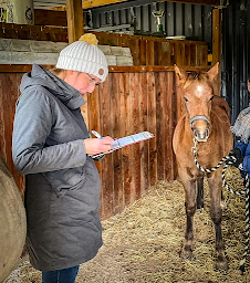 Photo n°10 de VETHIPPO'DOME CLINIQUE VETERINAIRE CHIENS CHATS CHEVAUX 24/24 7/7 SUR APPEL PRÉALABLE ENNEZAT à Ennezat (Clinique vétérinaire)