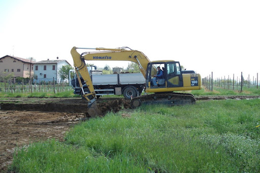 Goldoni Afro - Visual