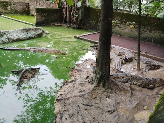 Reptiles Farm Ltd.