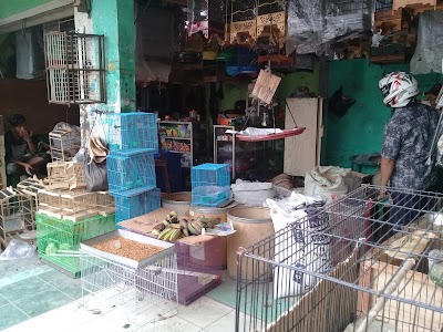 pet-store