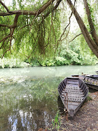 Photo n°7 de La mare au loup à Beaussais-Vitré (Gîte)