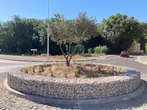 Photo n°14 de PAYSAGES CATALANS à Sainte-Marie-la-Mer (Service d'élagage)