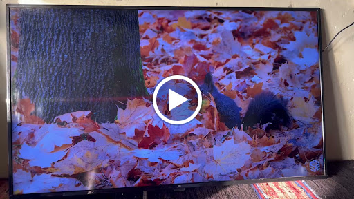 Mi 50inch ✅ post image