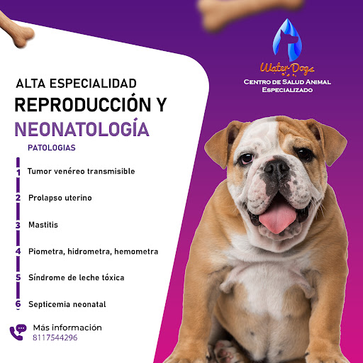 WaterDogs Hospital Veterinario Especializado
