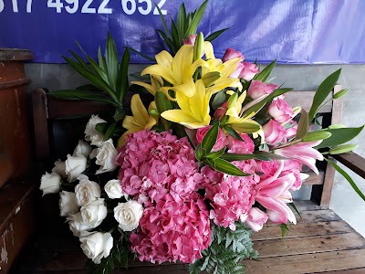 Photos of Rifky Florist