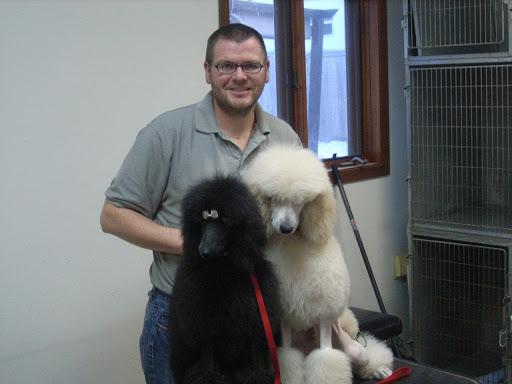 Pets Allowed Gallery - United States