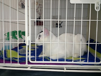 Photos of Animal Clinic