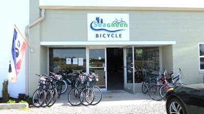 Seagreen Bicycle